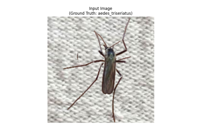 Using the Serve Module for Production Inference